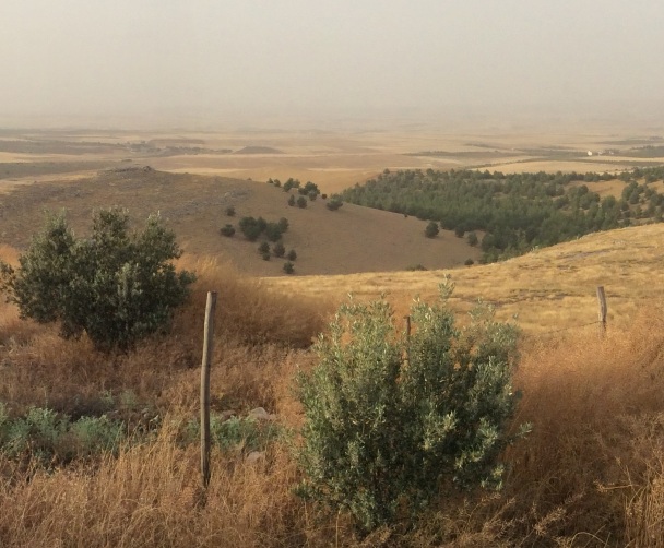 Göbekli Tepe (Urfa, Kurdistan) site of one of the earliest known human structures. Kobane lies beyond the horizon.